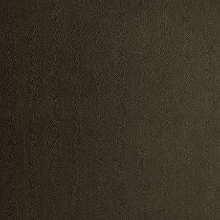 Black Olive