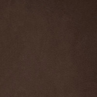 Mocha