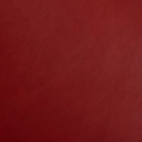 (Faux Leather) Red