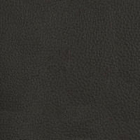 (Bonded Leather) Black
