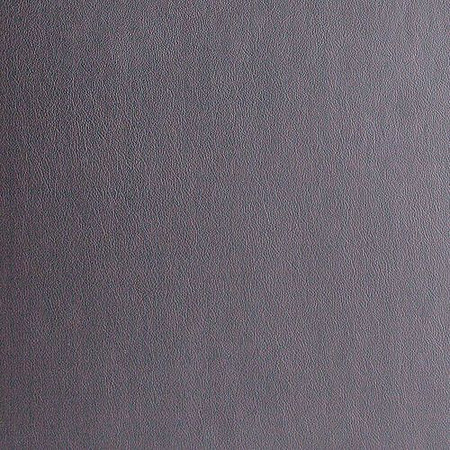 Iron