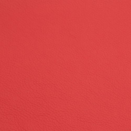Pink Coral